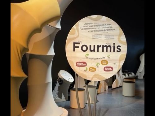 Une exposition autour de la fourmi dans un centre culturel 🐜
Pour ce projet, nous avons fabriqué...